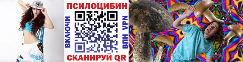 наркошоп  Волжск  Псилоцибиновые грибы GOLDEN TEACHER 