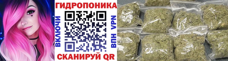 Бошки Шишки семена  Волжск 